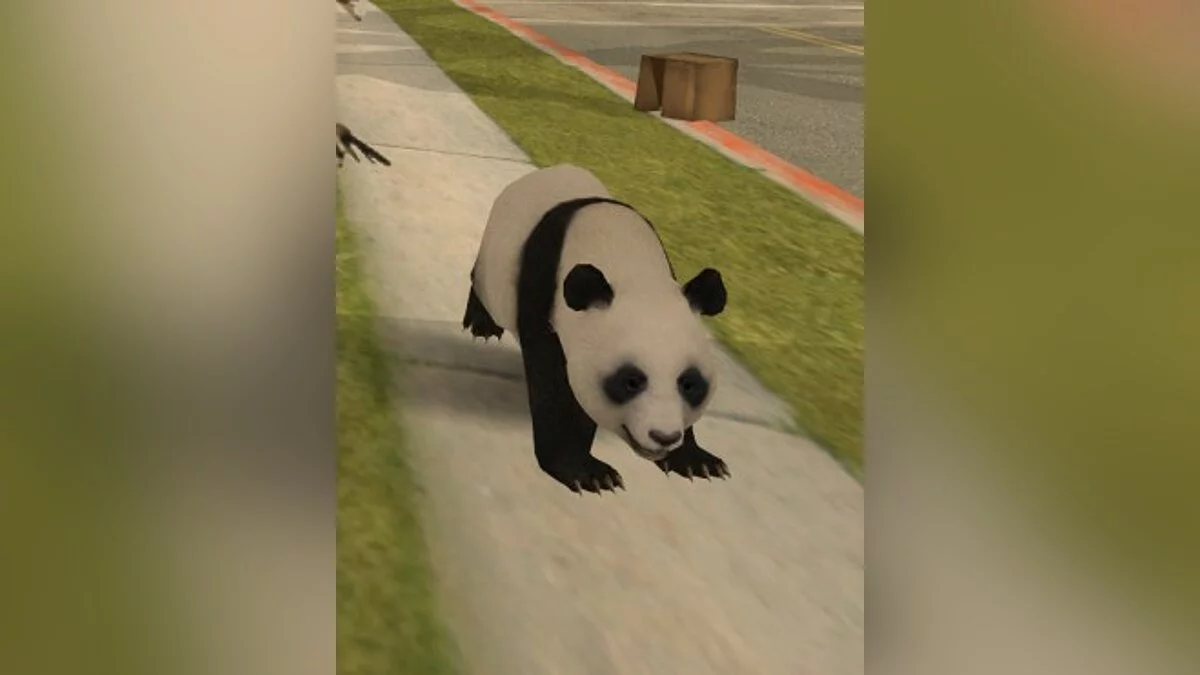 Panda Bear / GTA San Andreas