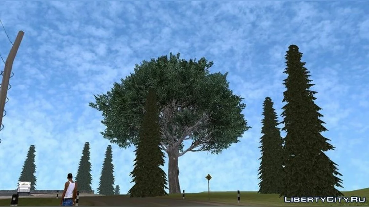 Реалистичный Skybox / GTA San Andreas (iOS, Android)