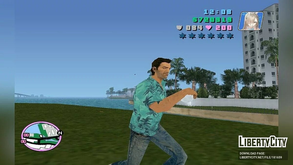 Rabbit Tail Grenade / GTA Vice City